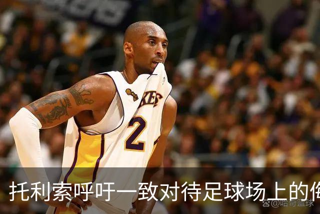 托利索呼吁一致对待足球场上的侮辱行为